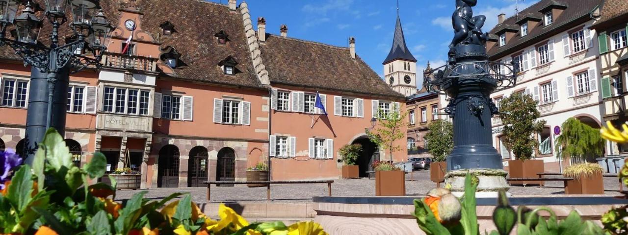 La Curiosite - Appartement 2 Chambres A Barr, Route Des Vins D'Alsace Εξωτερικό φωτογραφία