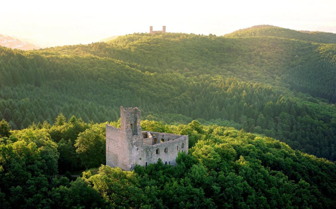 La Curiosite - Appartement 2 Chambres A Barr, Route Des Vins D'Alsace Εξωτερικό φωτογραφία